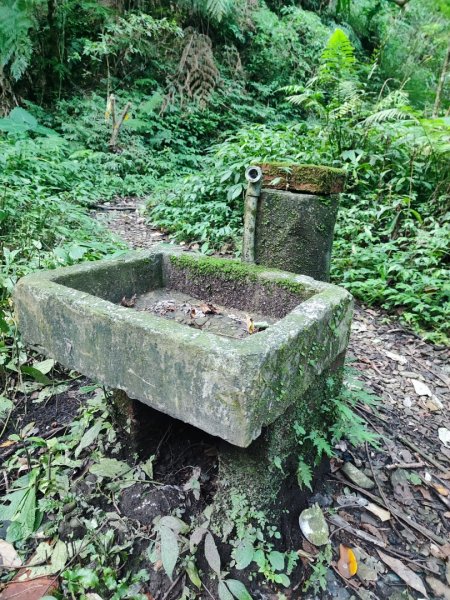 三峽白雞三山2963350