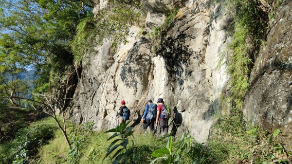 嚼嚼斯古道部落探勘鱉頭山~象山 2024年9月28日2615630