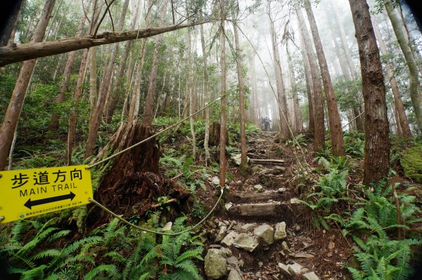 台中 和平 南松鶴山、八仙山、東松鶴山2877992