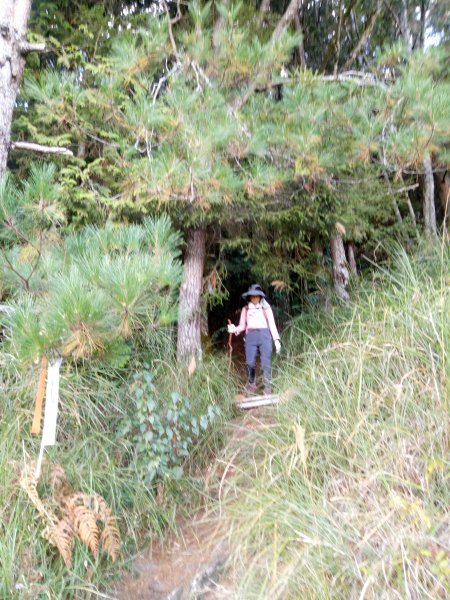 將軍廟上天鑾池+武法奈尾山1881038