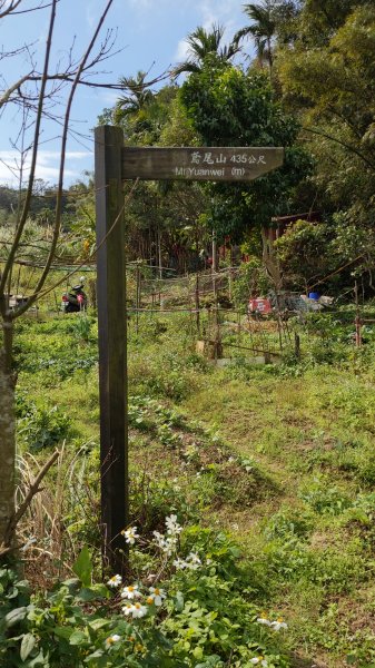 20230120_三峽_鳶山登山步道_五十分山2001580