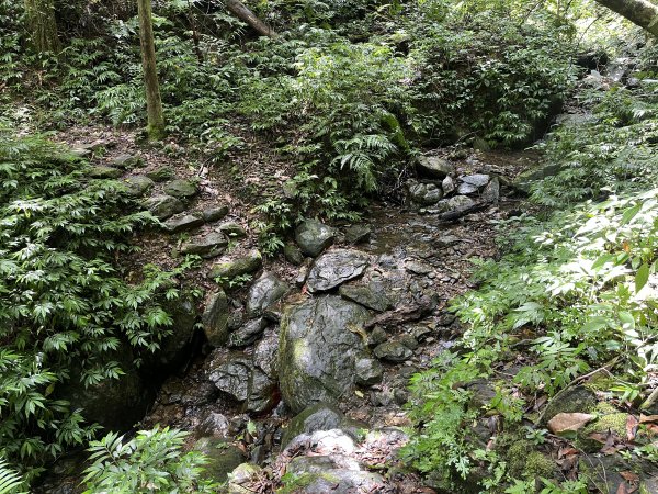 [淡蘭古道] 2025_0802 南路第四段2850901