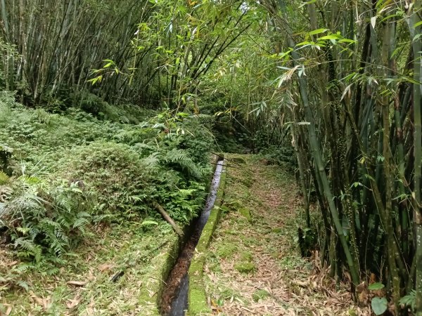 平溪區三功大厝+番子坑山+千階嶺步道O型2781100