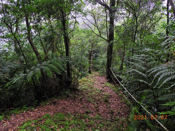 新北 坪林 九芎根山1422948