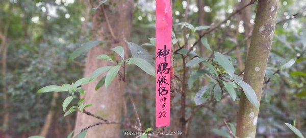 《苗栗》霧雨寒流｜三義三角山步道202512252969202