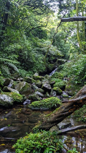 小觀音山西西峰 - 西峰 - 北峰935471