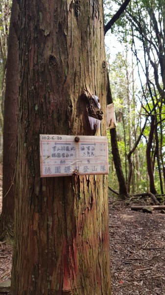 起初露營區經第三登山口上油羅山872315