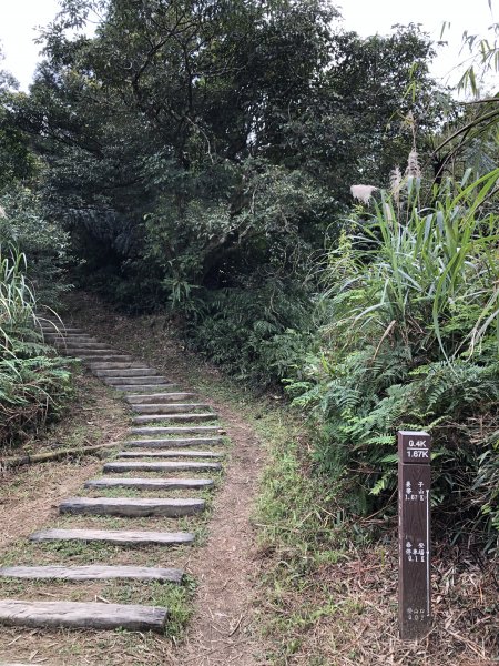 台灣小百岳No.011姜子寮山908417