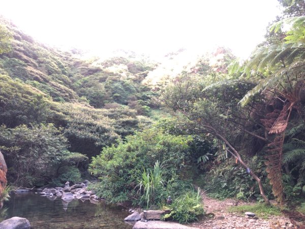 戲水2555644