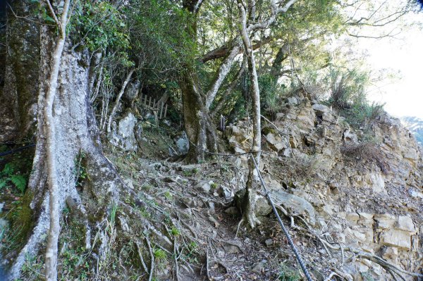 新竹 五峰 西高橋山、霞喀羅大山2959330
