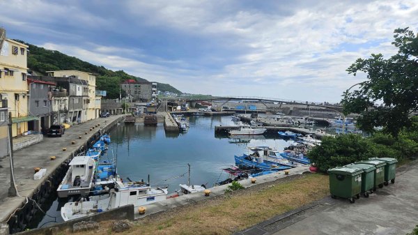 20250731望海巷-深澳漁港天空步道-水豚君(象鼻岩斷掉)