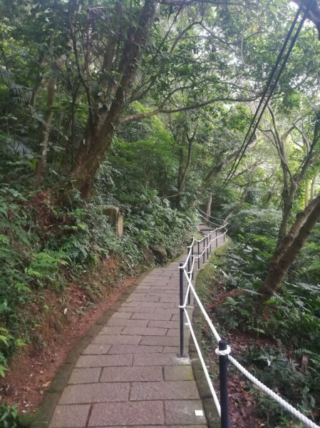 小百岳013號～南港山，幾乎整路爬樓梯，不怕樓梯者限定1348531