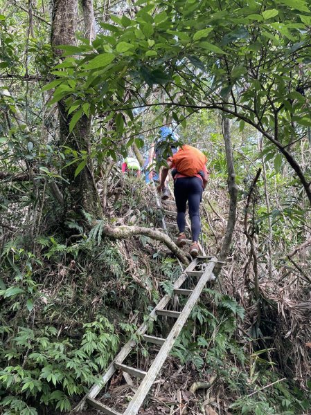 九芎根山-仁里板山2968836