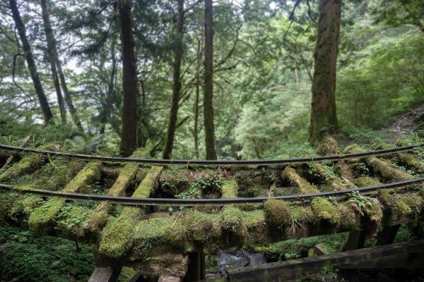 太平山避暑2829129