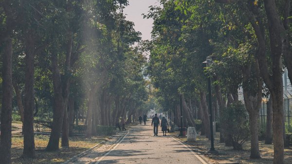 【蛇年走春】明日高雄、雙城線、愛河線2705581