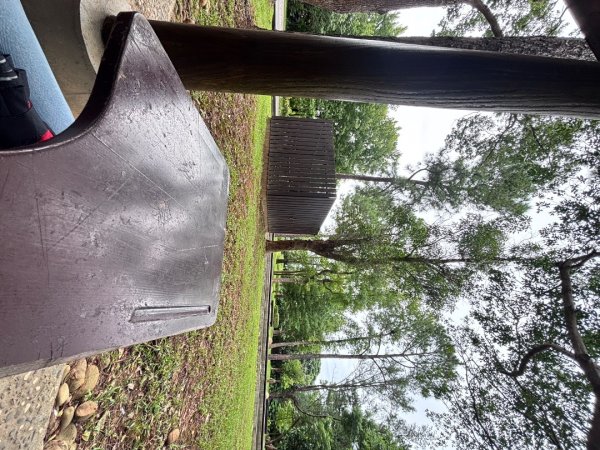 20250720大湳森林公園2843925