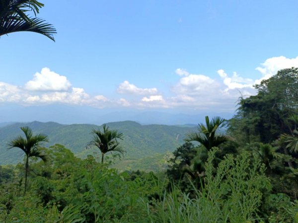 20220424南投中寮車坪崙山、車坪崙西峰、國姓下種瓜山、三角崙山、種瓜坑山1687340