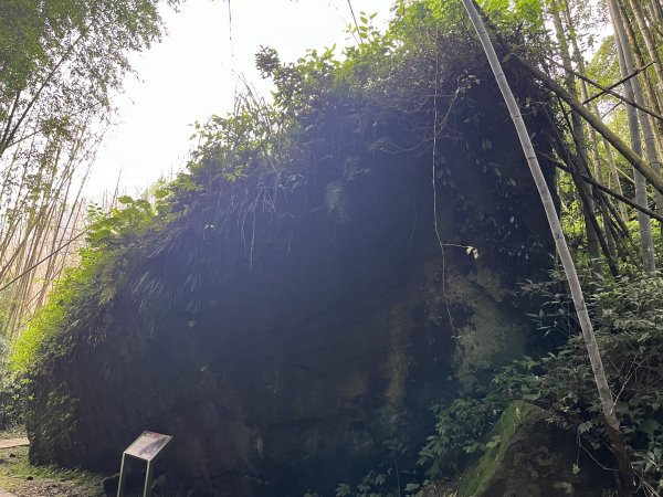 [嘉遊好步道．來嘉走走-04/10] 2024_1011 阿里山頂湖步道2624695