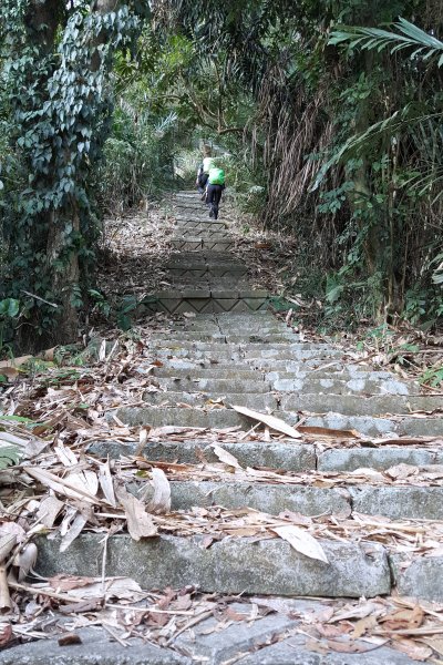 【台南】烏山縱走（雲山寺-山尾埤）935910