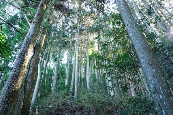 新竹 五峰 清泉山、民都有山2633701