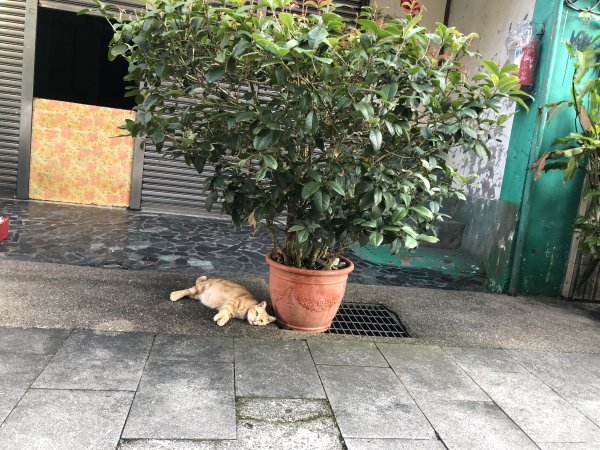 【淡蘭中路】全線連走(經泰平) | 是旅行也是修行1035252