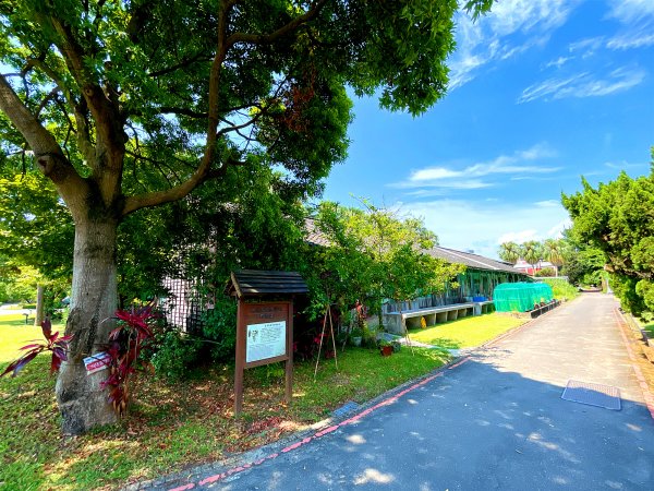 竹子湖：臺灣蓬萊米的故事