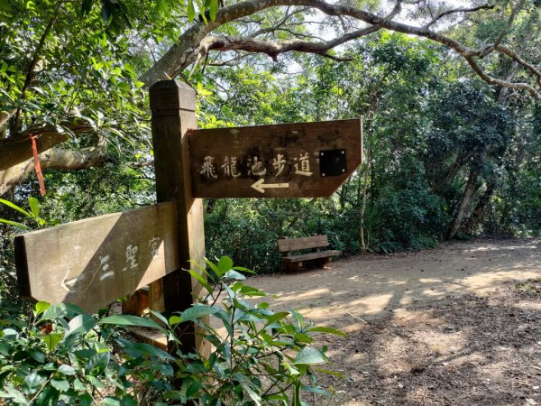 【新竹縣新埔鎮】飛龍步道2833133