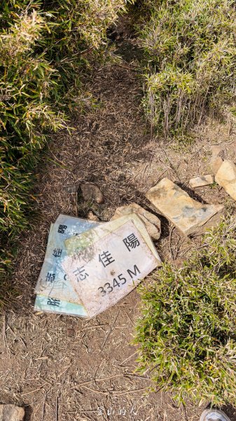 億年橋上志佳陽2960163