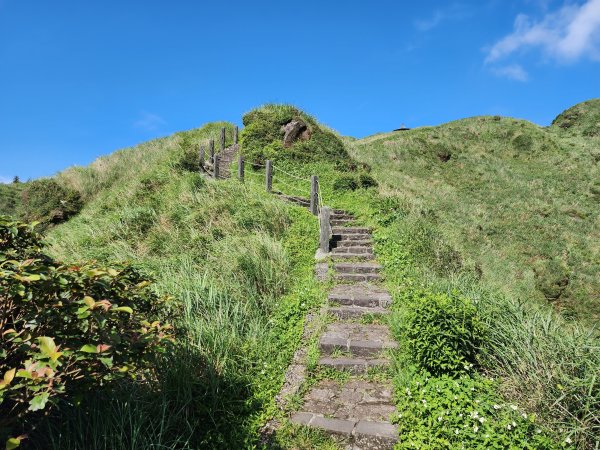 小百岳No.2⛰七星山主峰×七星山東峰2396347