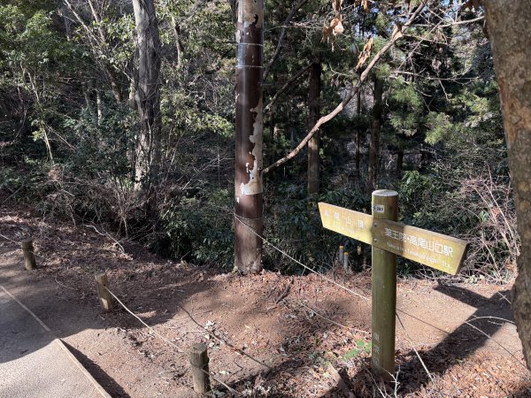 1150126日本高尾山2996182
