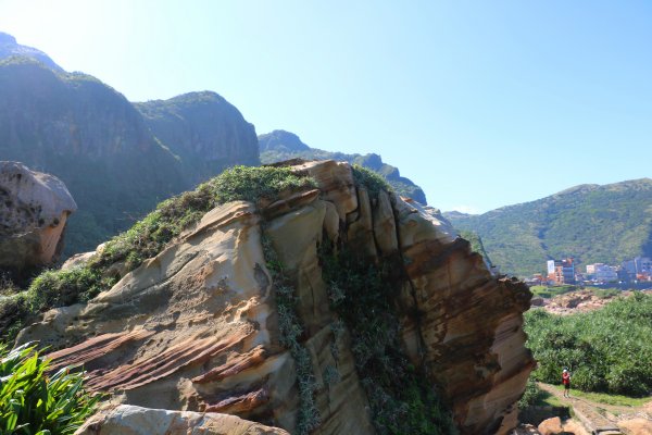 新北瑞芳~唯妙唯肖的奇石巨岩。 南雅奇岩876303