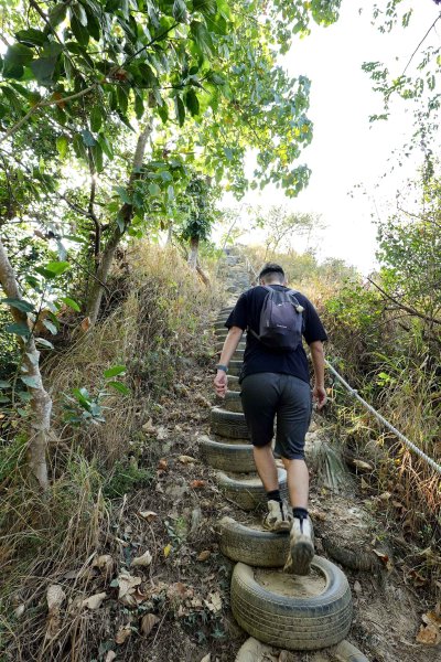 觀音山｜大社觀音山小百岳3002727