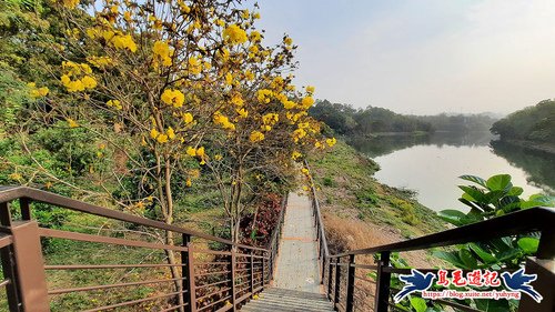 【新竹】峨嵋湖步道