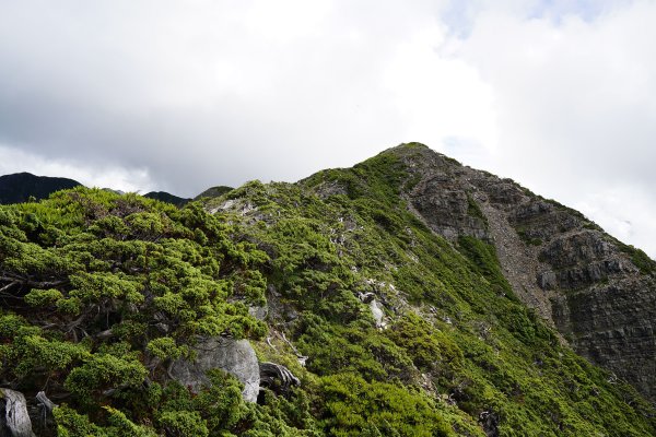 2018-08-03雪山主北431332