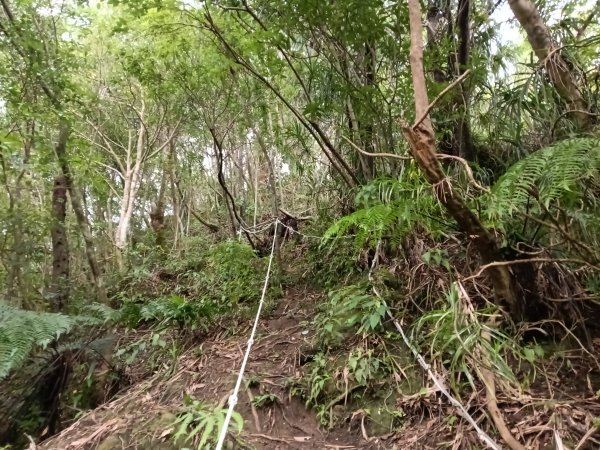 平溪區平溪子山遇雷雨O型2850147