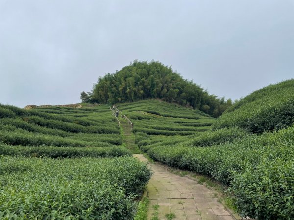 220820-挑筍古道(後棟仔山、小百岳#056雲嘉大尖山)1834559