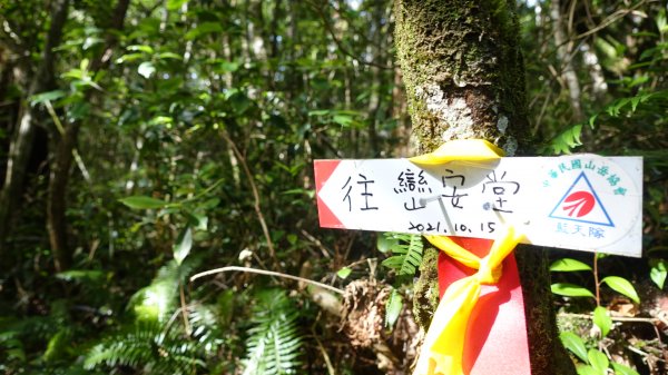 雙龍林道上巒安堂西巒大山1778618