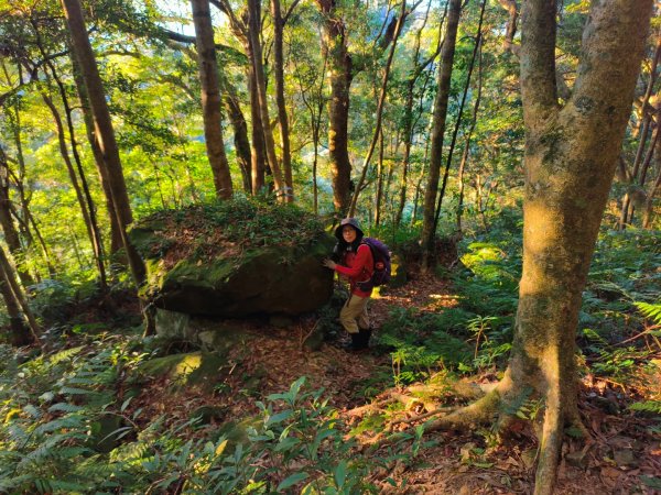 1121125 鳥嘴山縱走貴妃山2363995