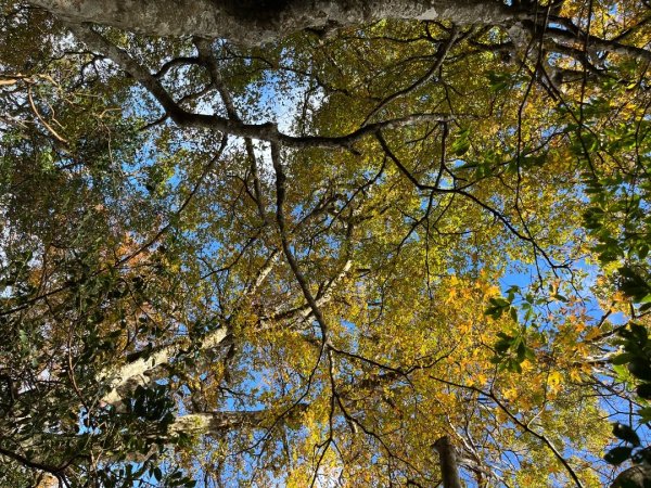 20221112_北得拉曼山2762246