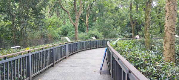 杭州動物園3089151