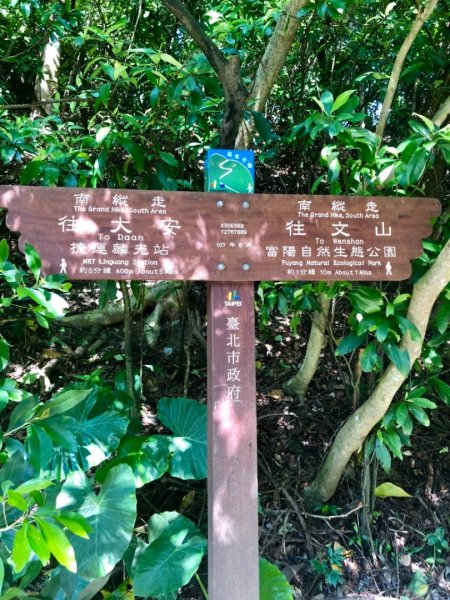 2019-08-10富陽公園、福州山656068