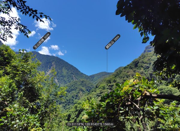 沙里仙林道、沙里仙溪、同富山/埔沙山、東埔山、阿毛巨木2812446