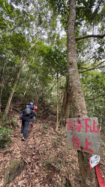 六龜警備道/茂林段/網子山～鳴海山2708198