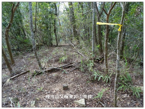 裡冷山、裡冷山南峰 ( 台中、和平 )1645821