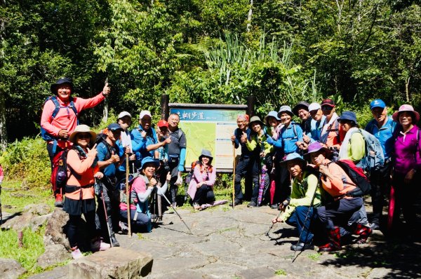阿里山迷糊步道-福山古道2793433