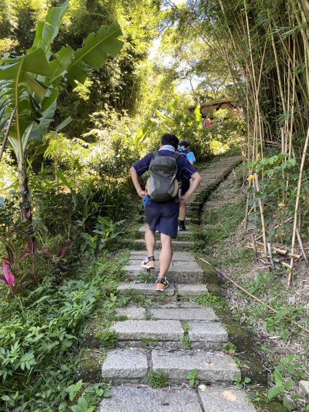 內雙溪的消暑密碼｜走一趟坪頂古圳就懂2873112