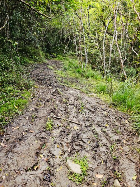 八里灣山-小百岳#91-花蓮縣豐濱鄉3019228