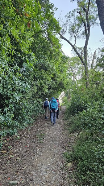 【尾寮山靜修日：一人一山，一念清明，山無語，我自省】🌿2937934