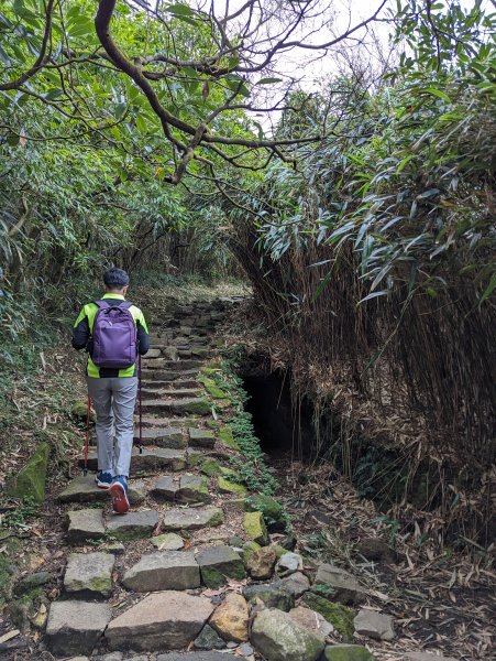 2023-11-19 臺北大縱走第三段2793036