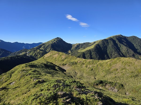 20250824 石門山+石門山北峰+哈哈山+哈哈山南峰2919447